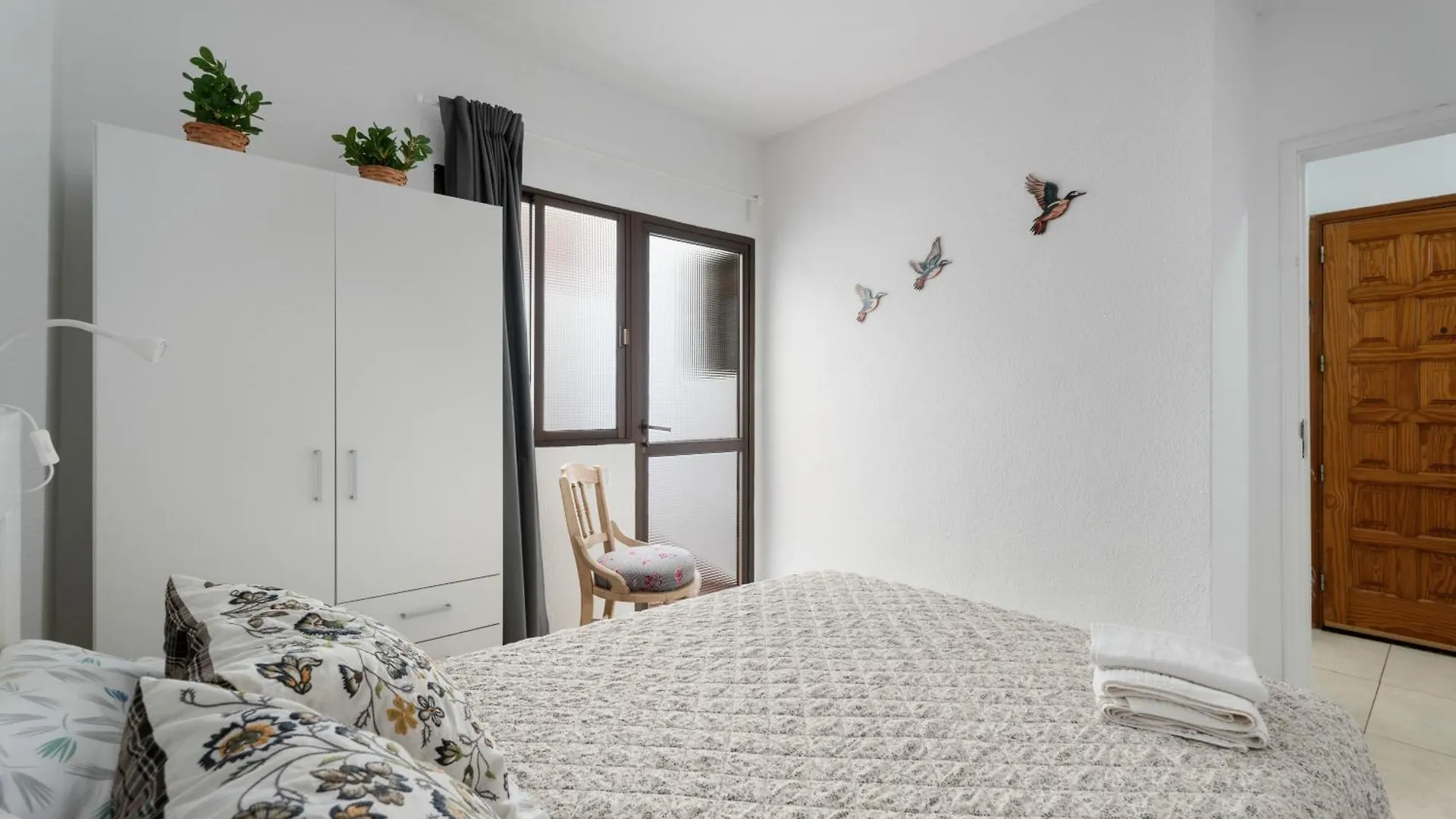 Paradise Apartment - El Medano  אל מדאנו